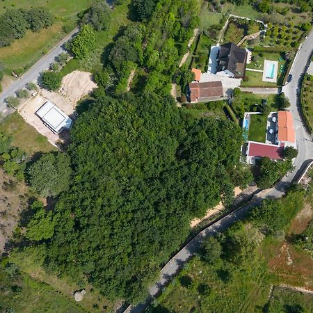 Casa Do Carvalhal - Quinta Do Soldado Villa Alquerubim Eksteriør billede