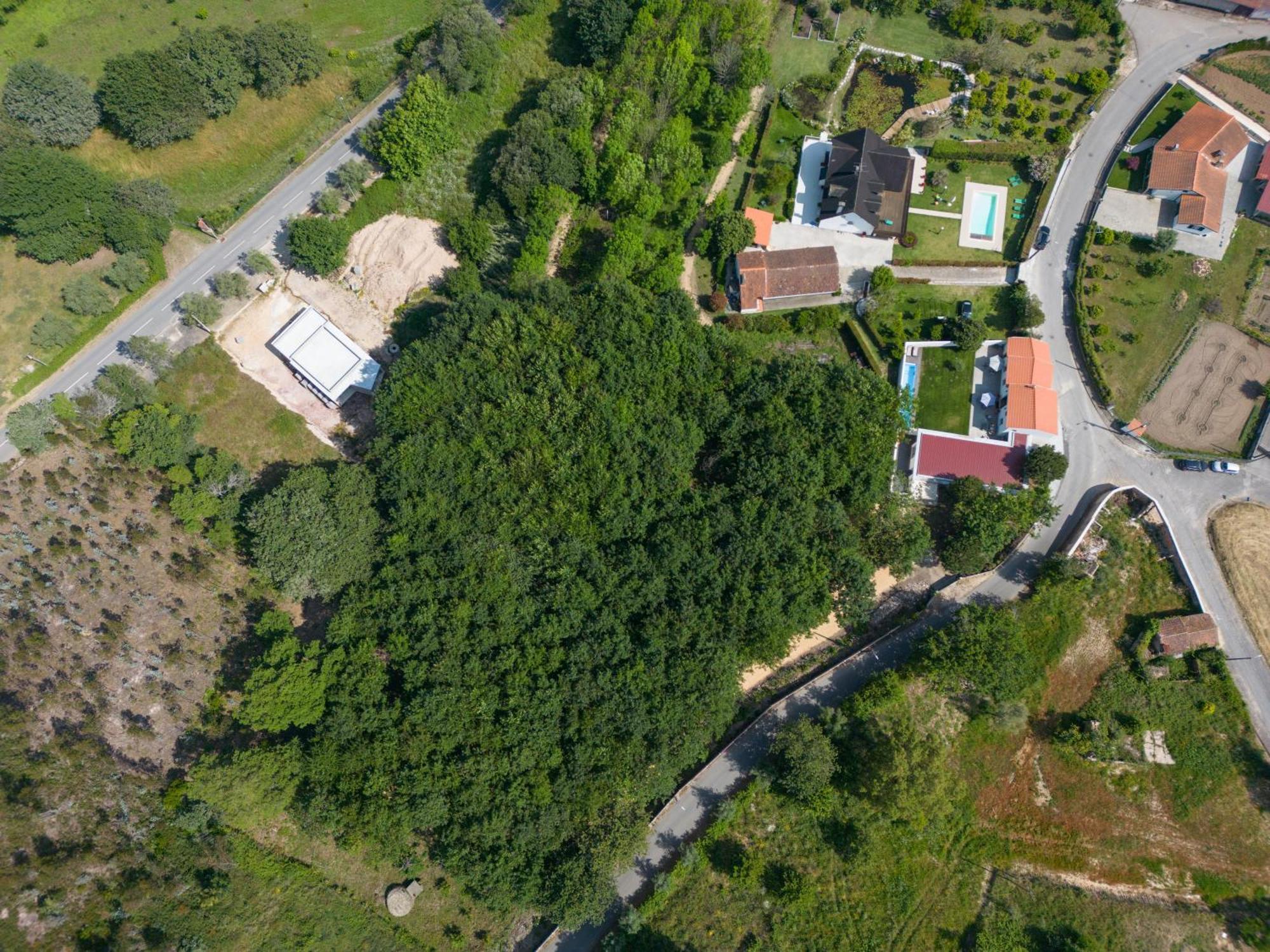 Casa Do Carvalhal - Quinta Do Soldado Villa Alquerubim Eksteriør billede